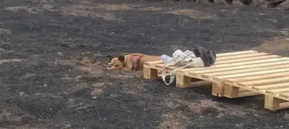  قطعة أرض في Segovia, Spain رقم 180045 11