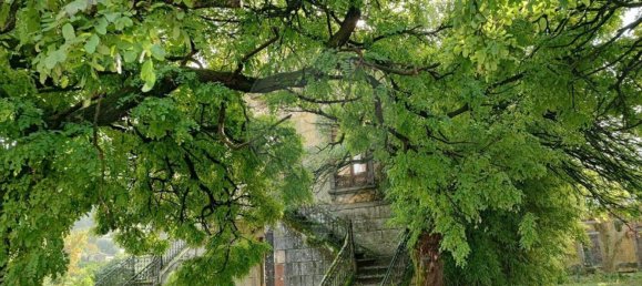 1 غرف نوم منزل في Amares, Portugal رقم 161156 7