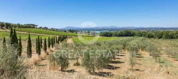 Casa de 7 dormitorios en Tuoro sul Trasimeno, Italy No. 52730 7