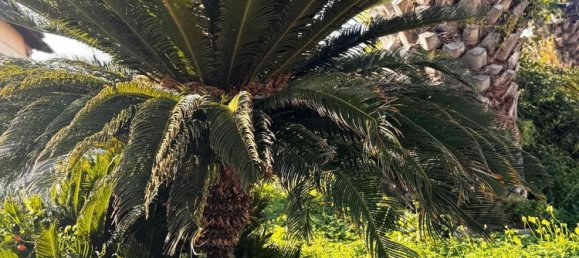 2-salle Appartement à Fiumicino, Italy No. 18190 75