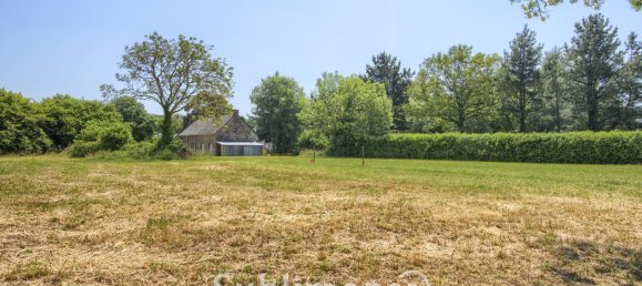 Terreno en Saint-Gildas-des-Bois, France No. 99734 2