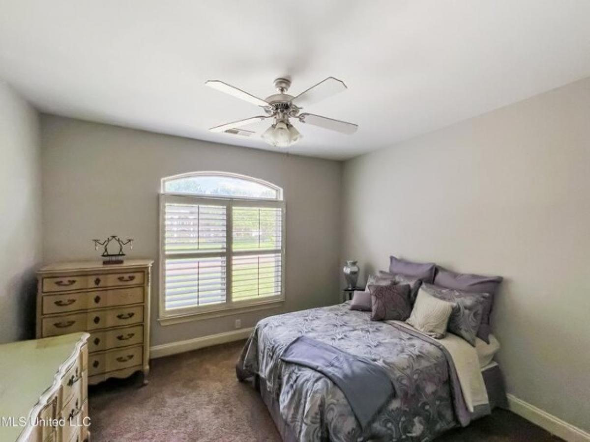 5 bedrooms House in Olive Branch, USA No. 439465