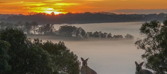 5 Schlafzimmer Haus in Koonorigan, Australia, Nr. 992 21