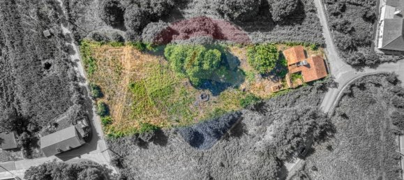 2 Schlafzimmer Villa in Beco, Portugal, Nr. 27238 18