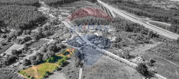 2 Schlafzimmer Villa in Beco, Portugal, Nr. 27238 3