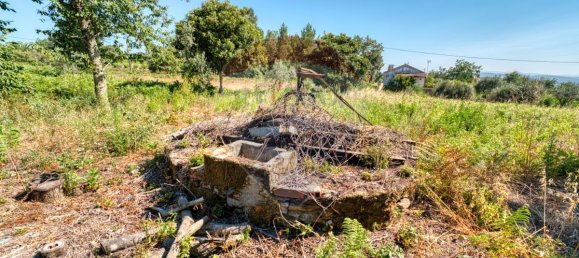 2 Schlafzimmer Villa in Beco, Portugal, Nr. 27238 8