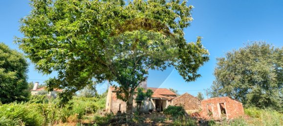 2 Schlafzimmer Villa in Beco, Portugal, Nr. 27238 9