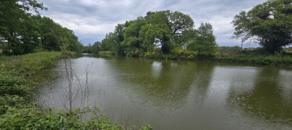 5 غرف نوم منزل في Salbris, France رقم 62876 12