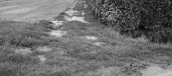 Grundstück in Lendinara, Italy 11665m², Nr. 310647 3