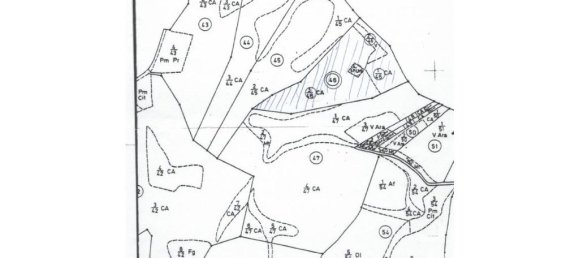 Grundstück in Castro Marim, Portugal 9160m², Nr. 31339 5