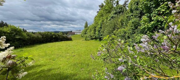 9 rooms House in Gross Gerungs, Austria No. 128257 2