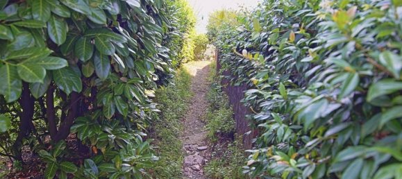 4 غرف نوم فيلا في Baveno, Italy رقم 166406 43