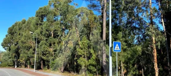 5490m² Land in Anadia, Portugal No. 89597 2