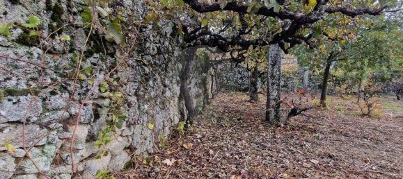 4 غرف نوم منزل في Sabugal, Portugal رقم 20361 13