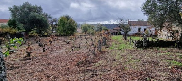 4 غرف نوم منزل في Sabugal, Portugal رقم 20361 12