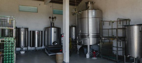 Terreno de 10 dormitorios en Vidigueira, Portugal No. 113058 6