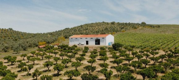 Terreno de 10 dormitorios en Vidigueira, Portugal No. 113058 8