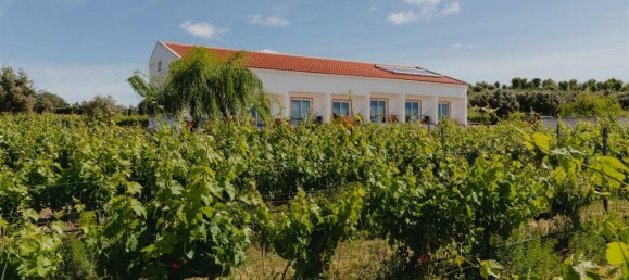 Terreno de 10 dormitorios en Vidigueira, Portugal No. 113058 10