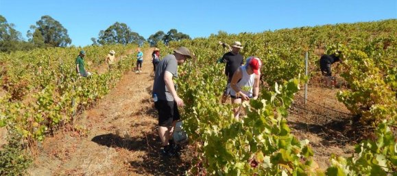Terreno de 10 dormitorios en Vidigueira, Portugal No. 113058 18