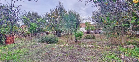 2 Schlafzimmer Haus in Sao Bartolomeu de Messines, Portugal, Nr. 59931 96