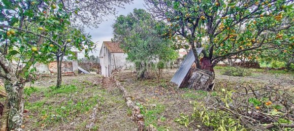 2 Schlafzimmer Haus in Sao Bartolomeu de Messines, Portugal, Nr. 59931 84