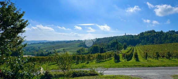 2467m² Land in Castana, Italy No. 131552 8