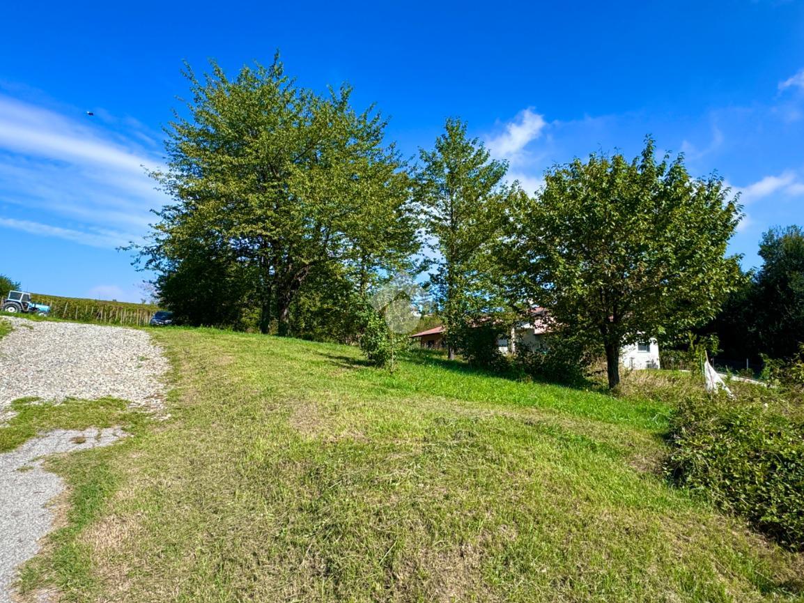 2467m² Land in Castana, Italy No. 131552