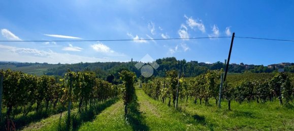 2467m² Land in Castana, Italy No. 131552 16