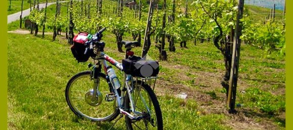 2467m² Land in Castana, Italy No. 131552 20