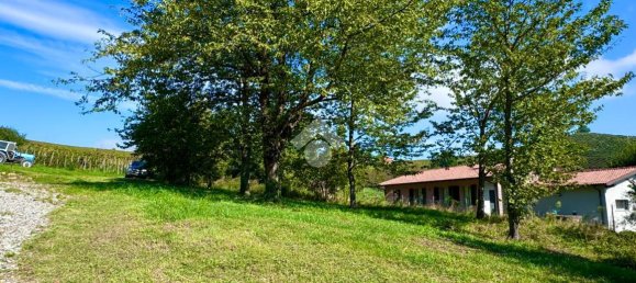2467m² Land in Castana, Italy No. 131552 4
