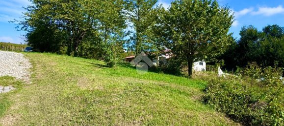 2467m² Land in Castana, Italy No. 131552 18