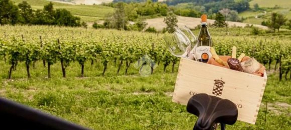 2467m² Land in Castana, Italy No. 131552 25