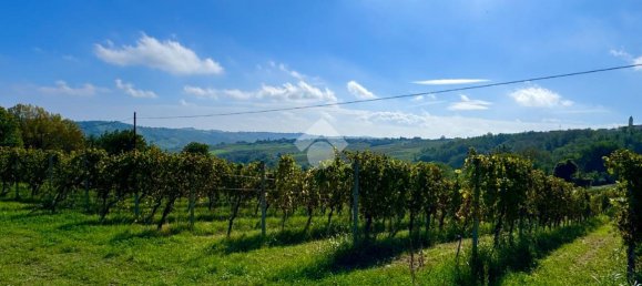 2467m² Land in Castana, Italy No. 131552 21