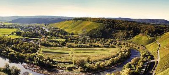 550m² Land in Trier-Saarburg, Germany No. 335030 2