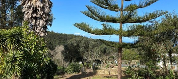 4 Schlafzimmer Haus in Sesimbra, Portugal, Nr. 137755 10