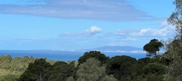4 Schlafzimmer Haus in Sesimbra, Portugal, Nr. 137755 5
