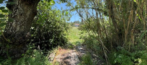 4 Schlafzimmer Haus in Sesimbra, Portugal, Nr. 137755 21