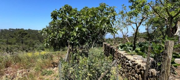 4 Schlafzimmer Haus in Sesimbra, Portugal, Nr. 137755 35