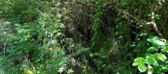 4 Schlafzimmer Haus in Sesimbra, Portugal, Nr. 137755 18