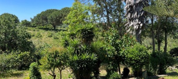 4 Schlafzimmer Haus in Sesimbra, Portugal, Nr. 137755 41