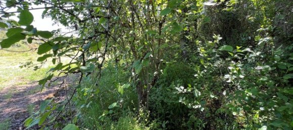 4 Schlafzimmer Haus in Sesimbra, Portugal, Nr. 137755 22