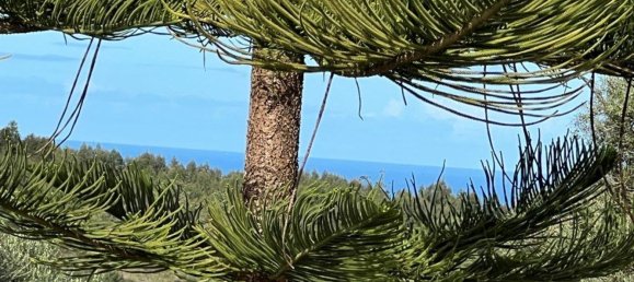 4 Schlafzimmer Haus in Sesimbra, Portugal, Nr. 137755 37