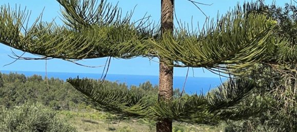 4 Schlafzimmer Haus in Sesimbra, Portugal, Nr. 137755 11