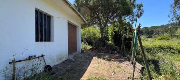 4 Schlafzimmer Haus in Sesimbra, Portugal, Nr. 137755 29