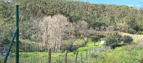 4 Schlafzimmer Haus in Sesimbra, Portugal, Nr. 137755 13