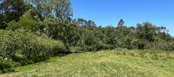 4 Schlafzimmer Haus in Sesimbra, Portugal, Nr. 137755 16