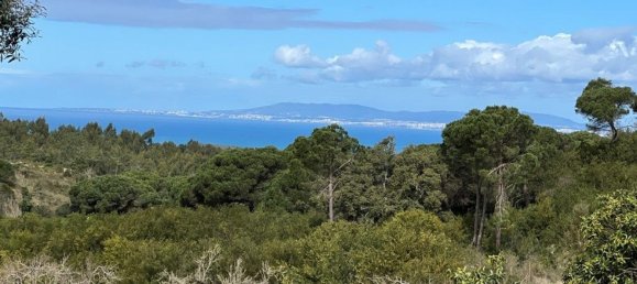 4 Schlafzimmer Haus in Sesimbra, Portugal, Nr. 137755 31