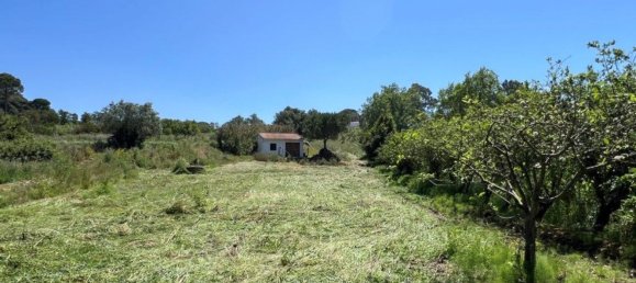 4 Schlafzimmer Haus in Sesimbra, Portugal, Nr. 137755 26