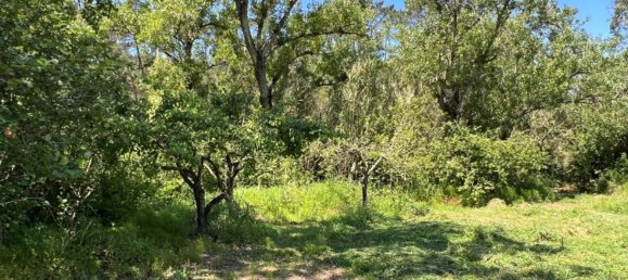 4 Schlafzimmer Haus in Sesimbra, Portugal, Nr. 137755 17