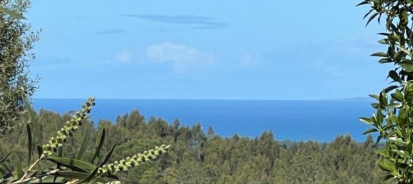 4 Schlafzimmer Haus in Sesimbra, Portugal, Nr. 137755 12